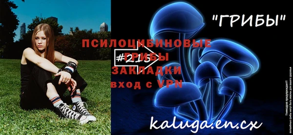 винт Шали