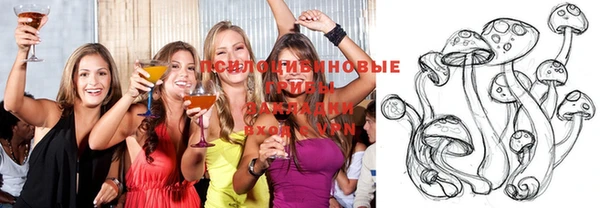 мдпв Заволжье