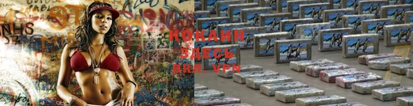 ПСИЛОЦИБИНОВЫЕ ГРИБЫ Зеленокумск