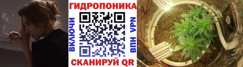 блэк спрут ONION  сайты даркнета состав  Каннабис семена  Старая Купавна 